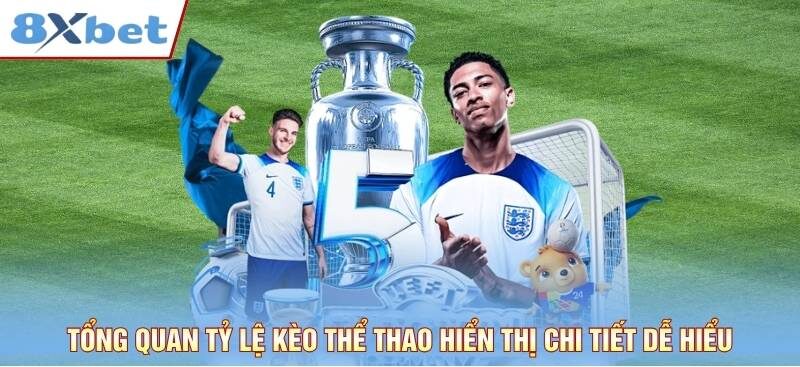Tổng quan tỷ lệ kèo thể thao hiển thị chi tiết dễ hiểu