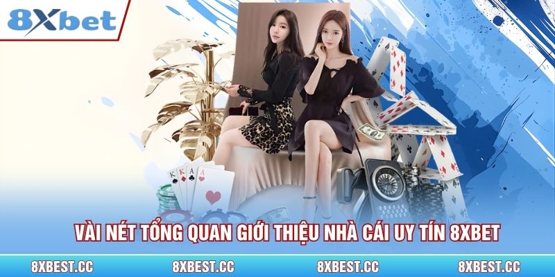 Vài nét tổng quan giới thiệu nhà cái uy tín